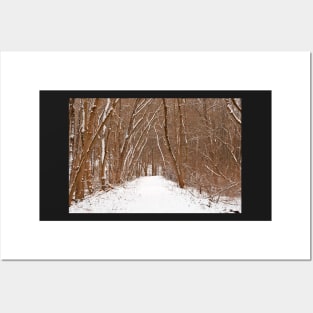 Winter Forest Tipi Trail Posters and Art